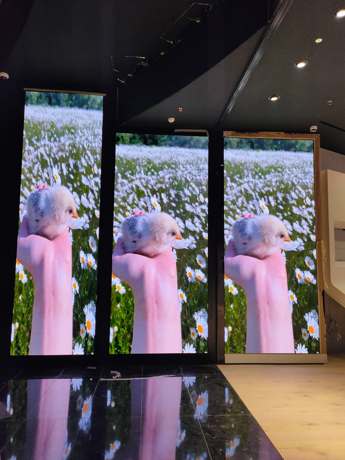 LED Display Projects — project 11